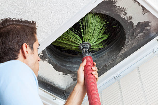 Best Air Duct Sanitizing Services  in Apex, NC